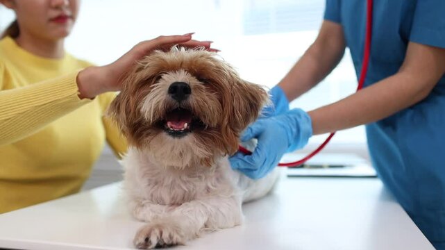 Veterinarian examines playful mixed-breed puppy indoors, holding dog gently. Clinic setting, stethoscope visible. Cute pet, professional care, animal health.