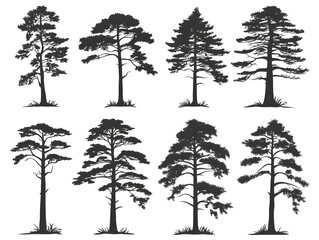 Collection of eight detailed black silhouette pine trees with varying shapes and branch structures, isolated on a white background for design and illustration use