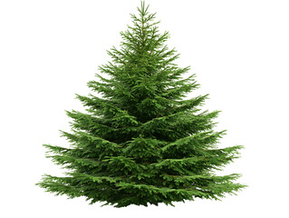 Lush green Christmas tree with full branches, vibrant foliage, and wide symmetrical shape, perfect for holiday decoration, festive displays, and seasonal decor