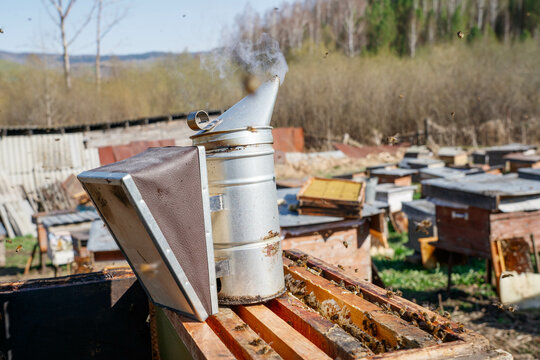 Smoker on Open Beehive with Smoke and Apiary Background.
