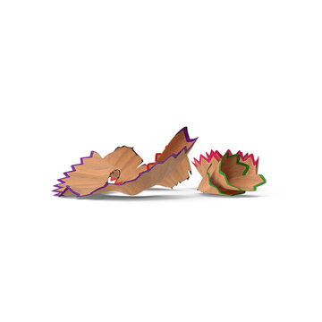 Pencil Shavings Isolated on Transparent Background