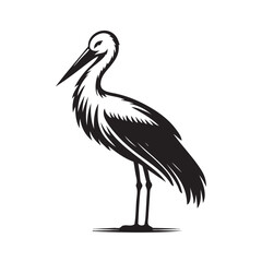 Bird Silhouette vector art illustration. black bird vector design.