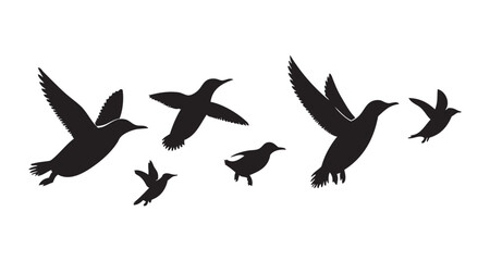 Penguins Silhouette vector art illustration. black bird vector design.