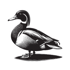 Duck Silhouette vector art illustration. black bird vector design.