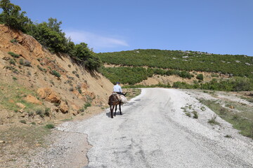 Man leading donkey. Donkey sunny mountains. High quality photo