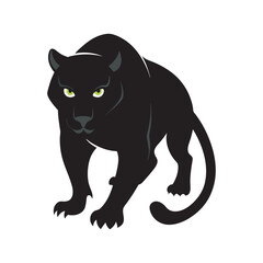 Panther Stalking Through The Darkness
