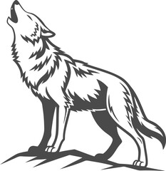 wolf vector illustration