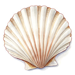 Isolated Elongated Ribbed Bivalve Design for Graphic Use in Nature Art