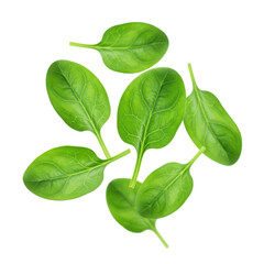 Obraz premium Fresh Green Spinach Leaves On Transparent Background