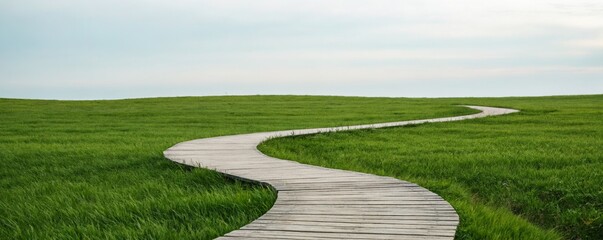 Naklejka premium Serene Curved Boardwalk Path Through Lush Green Meadow Landscape