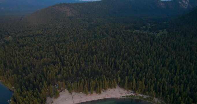 Dense Forest Trees Aerial Reveal of Lakefront Beach