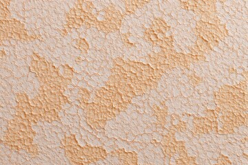 Fototapeta premium A patterned wallpaper with a textured surface, revealing a captivating design 