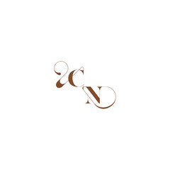 bold and hairline initial wedding logo concept CN elegant curve monogram letter