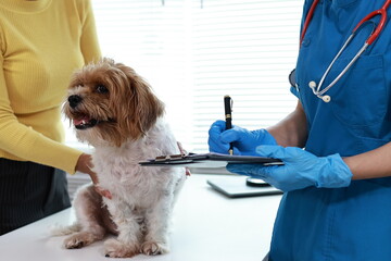 A veterinarian examines a sick puppy in a veterinary clinic, using a stethoscope to check its health and prescribe proper medication.