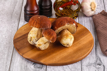 Raw natural wild porchini mushrooms