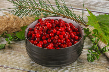 Natural organic wild forwst lingonberry