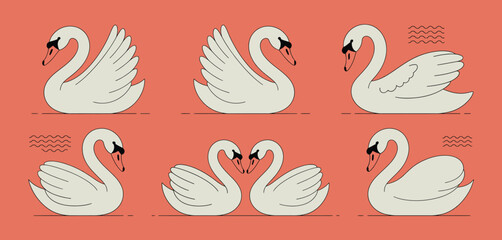 Six Elegant Swans in Various Poses on Coral Background