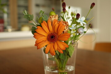 Orange Flower in Vase on Dining Table &ndash; Natural Light Still Life