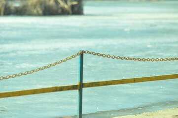bird on the fence