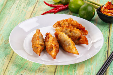Asian fried stuffed dumplings gyoza