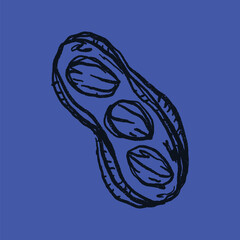 Doodle elements of fruit and vegetable, specifically a peanut