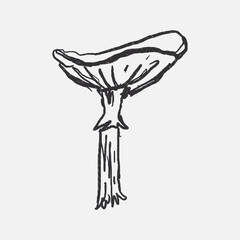 Doodle elements of fruit and vegetable, specifically a Mushroom