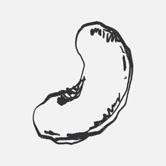 Doodle elements of fruit and vegetable, specifically a cashew nuts