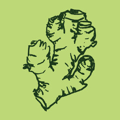 Doodle elements of fruit and vegetable, specifically a Ginger