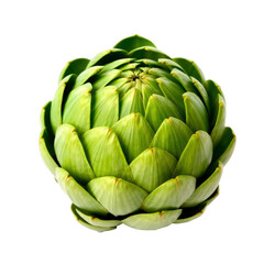 Obraz premium artichoke with transparent background PNG and JPEG image
