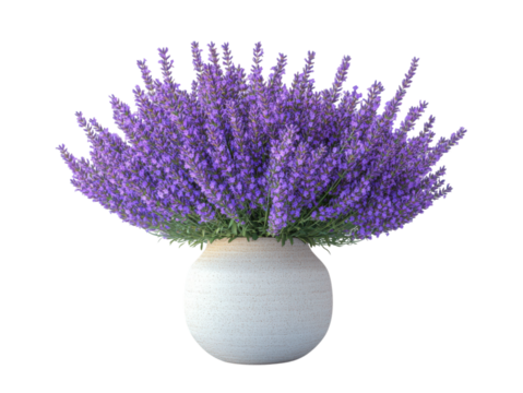 A white vase filled with purple flowers