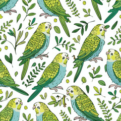 Budgerigar Vector Illustration with Seamless Pattern Design