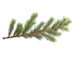 A thin green branch with brown tips