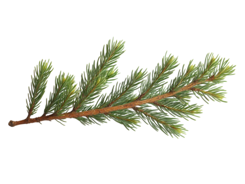 A thin green branch with brown tips