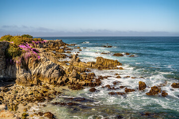 Beautiful Rocky Shoreline of Monterey Bay, California