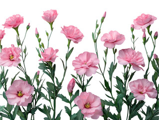 Fototapeta premium A row of pink flowers with green stems