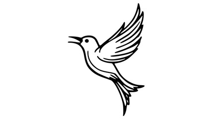 Fototapeta premium vector of a bird