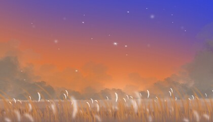 Evening sky and bright stars over the grassland. Illustration. Nature background drawn on tablet, used for background.sunrise in the mountains