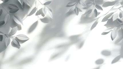Serene Shadows: A Minimalist Botanical Composition