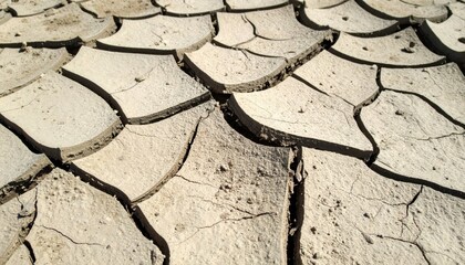 Cracked Earth Texture in Arid Landscape During Drought Conditions