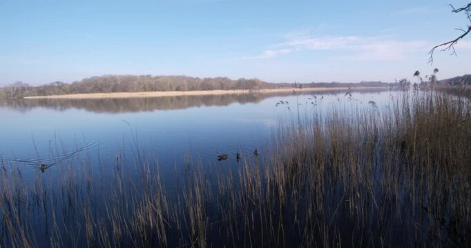 extra wide shot of Ormesby little broad looking northwest