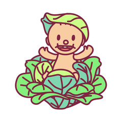 vector cartoon cute baby in cabbage Clip art isolated on transparent background.