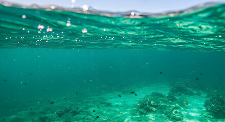 Obraz premium Underwater Paradise: Azure Waters And Vibrant Aquatic Life In Tropical Serenity