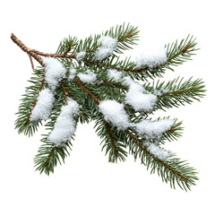 Snow-covered evergreen branch evokes winter's beauty and holiday spirit in detail on a transparent background