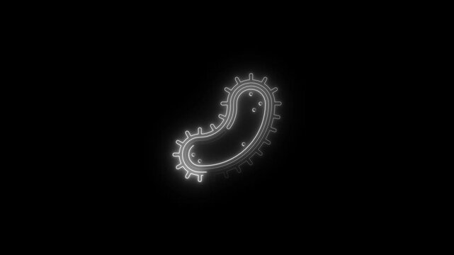 glowing neon protist icon animation black background. 4K Video motion graphic animation.