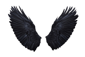Obraz premium Black Angel Wings on Transparent Background