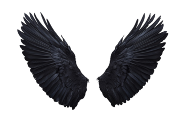Black Angel Wings on Transparent Background