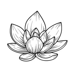 Fototapeta premium Line drawing of a lotus flower with detailed petals and leaves 