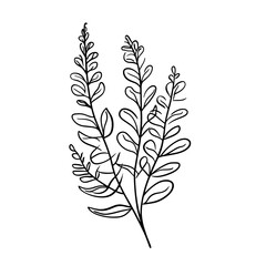 Outline drawing of fern leaves in minimalist style for journey concept  