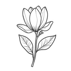 Obraz premium Single line drawing of a magnolia flower with leaves in minimal style 