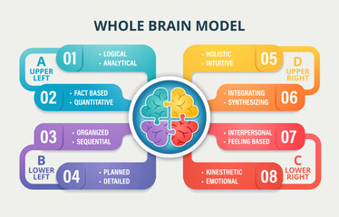 Plakat Whole Brain Model infographic showing four thinking quadrants: analytical, sequential, emotional, and holistic. Color-coded brain sections represent cognitive diversity and thinking styles for educati